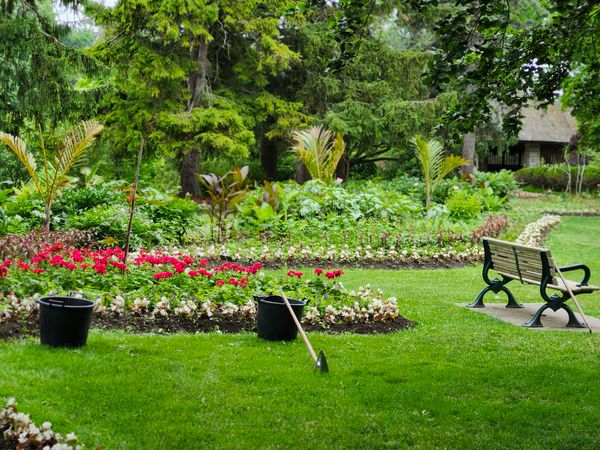 Park sa negovanim travnjakom i drvećem - negovani travnjak