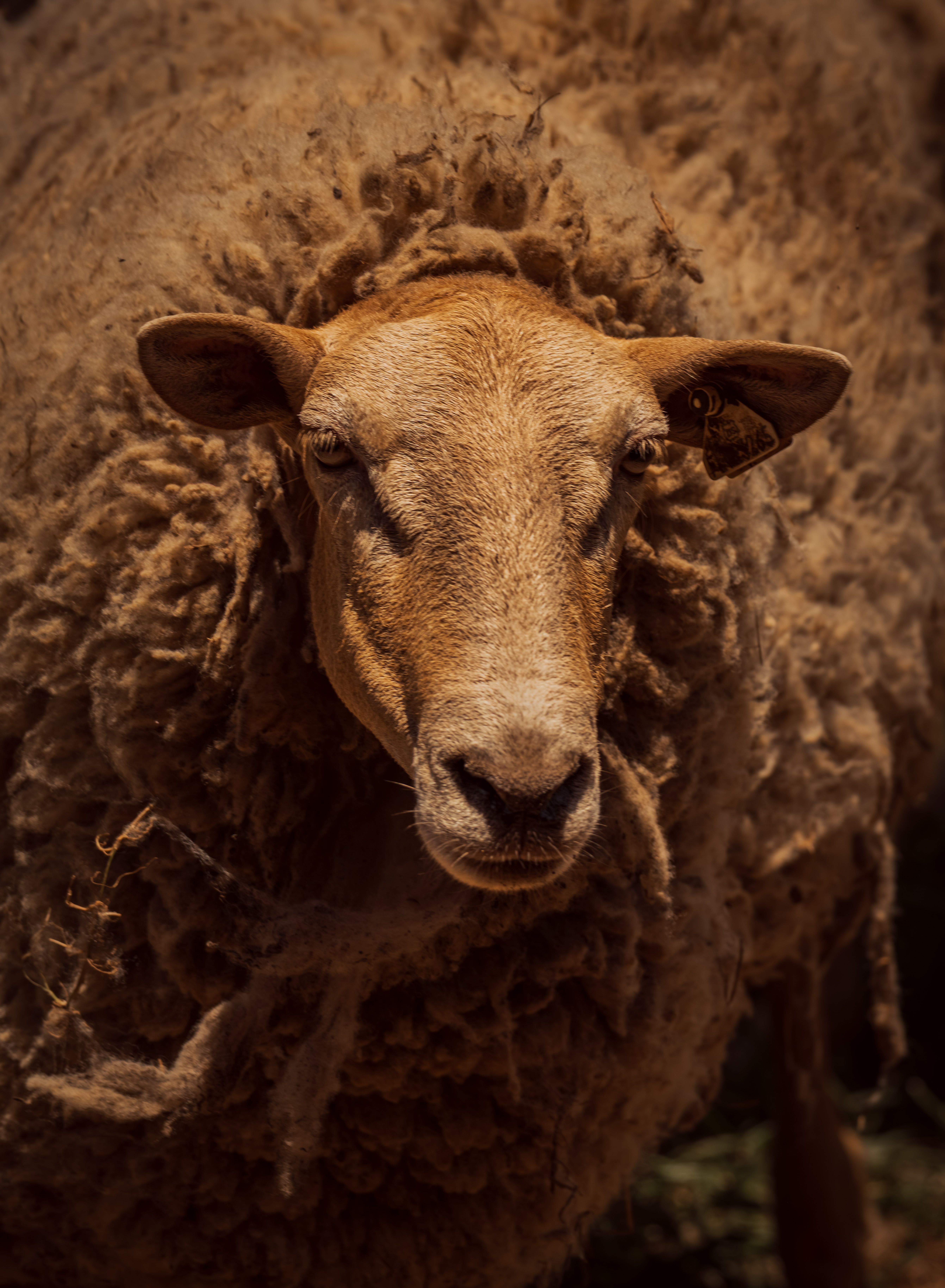 300.000+ melhores imagens de Courtiser La Texture · Download 100% ...