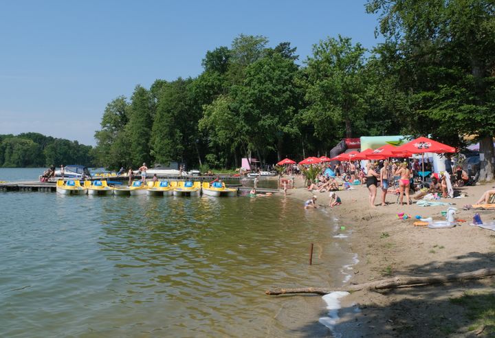 People enjoying a sunny day at the beach with pedal boats on a calm lake.