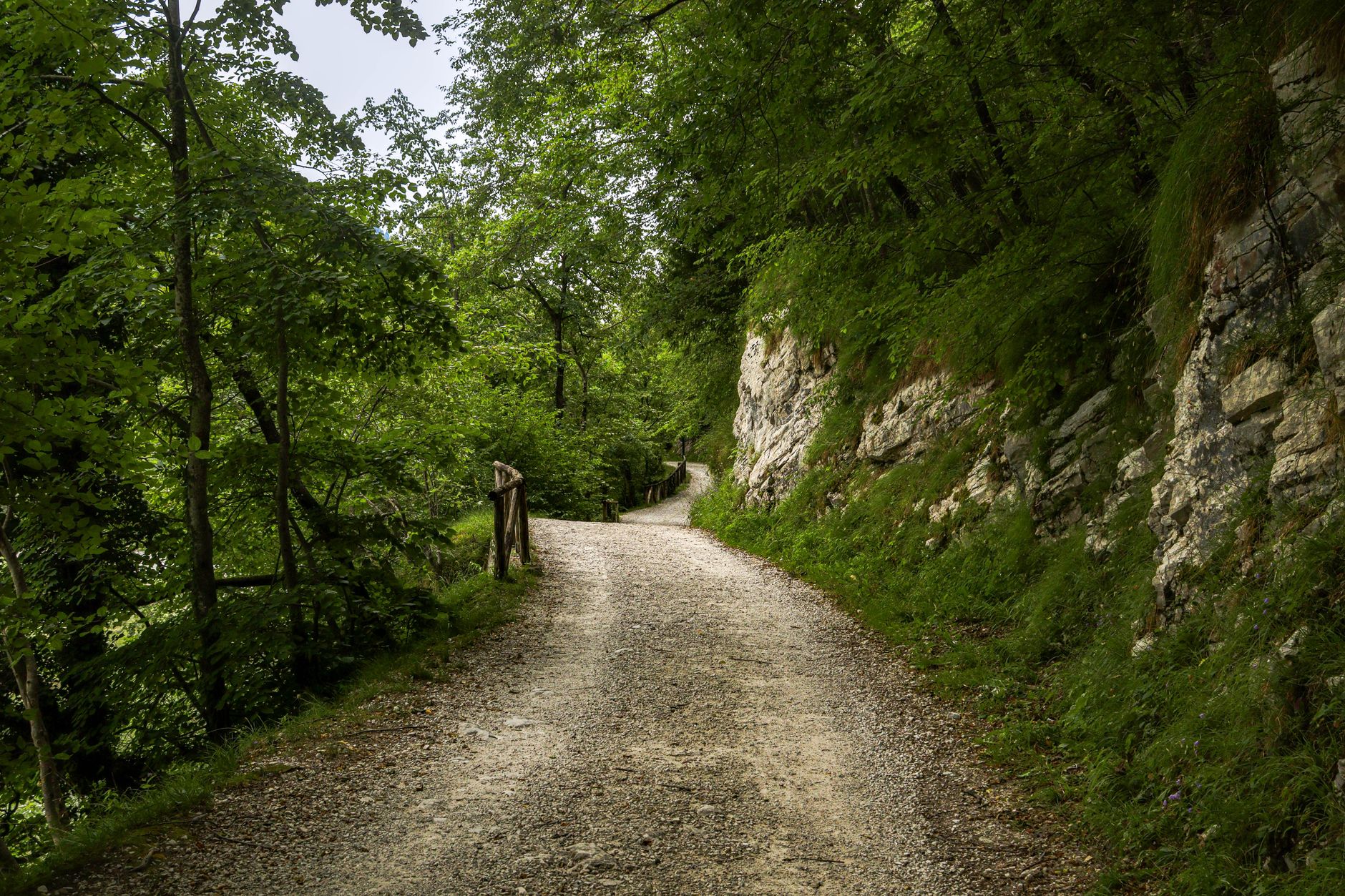 Peaceful gravel path winding through dense green forest, ideal for a nature walk.