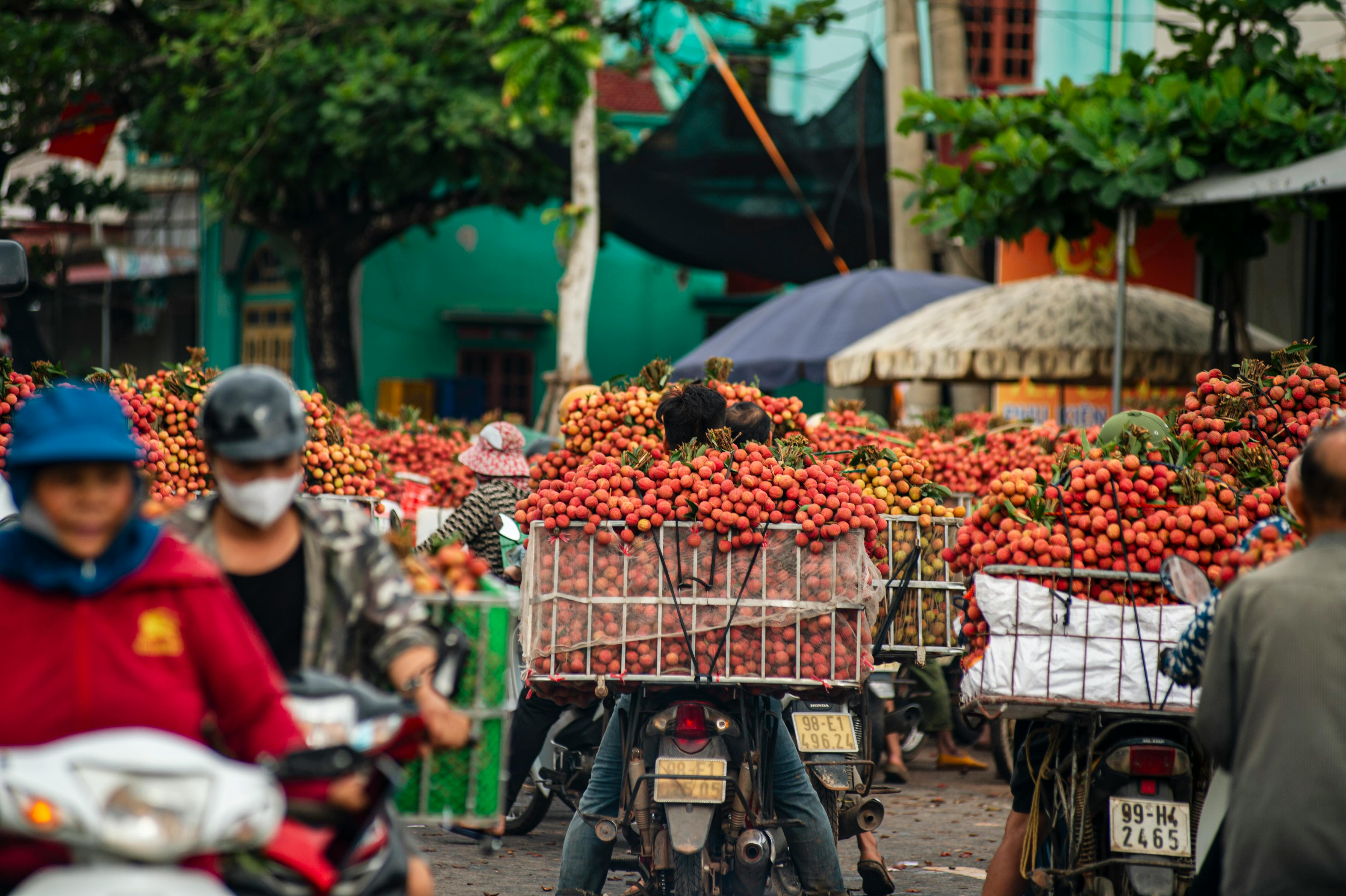 Vibrant scene of lychee vendors in Bac Giang, Vietnam during lychee season, showcasing the bustling market atmosphere.