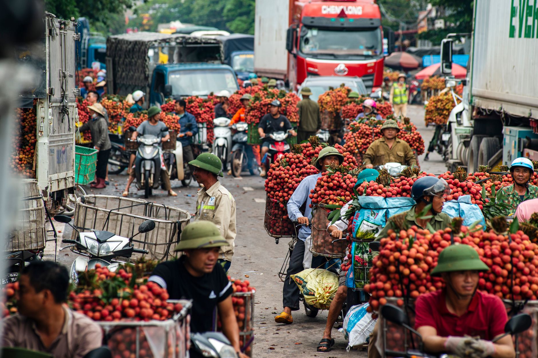 Xu hướng người tiêu dùng 2026: Ưu tiên chất lượng, minh bạch và giá trị thực