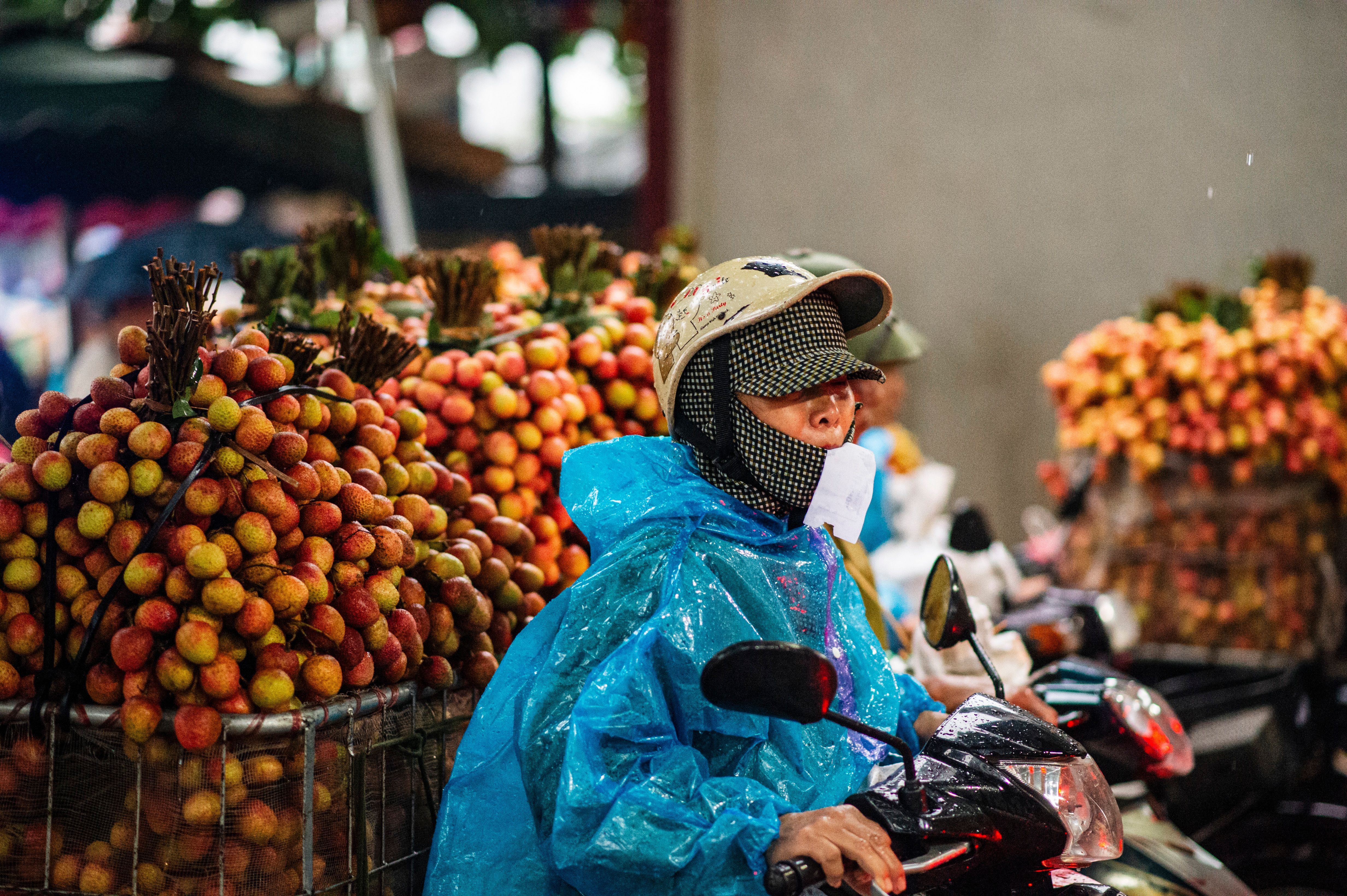 A vendor in Bac Giang, Vietnam, sells lychees amid rain. Captured in vibrant detail.