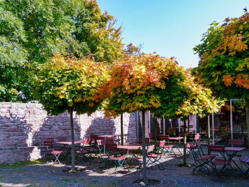 Postino WineCafe
