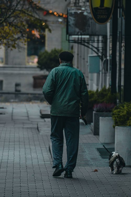 Free Elderly man walks a dog along a quiet street in Vilnius, capturing a tranquil urban moment. Stock Photo