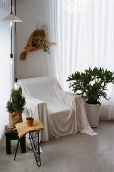 Elegant minimalist decor with a draped chair and lush plants, creating a serene indoor space.