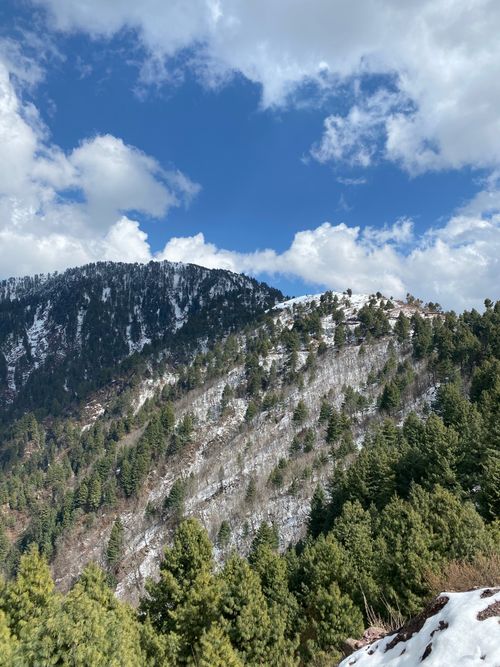 Free Scenic view of snow-covered hills and pine trees under a bright blue sky in Abbottabad. Stock Photo