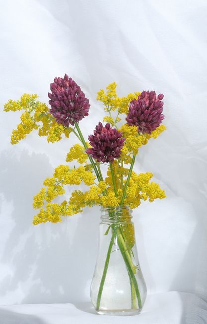 Elegant glass vase with vibrant yellow and purple flowers on a soft white background.