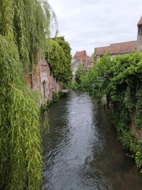 Free A serene river flows between lush green foliage and historic buildings under a cloudy sky. Stock Photo