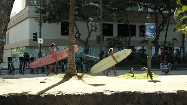 Two surfers carrying boards stroll along a sunny street lined with palm trees.