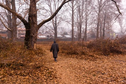 Free A person walks alone on a leaf-covered path in a tranquil autumn forest with foggy surroundings. Stock Photo