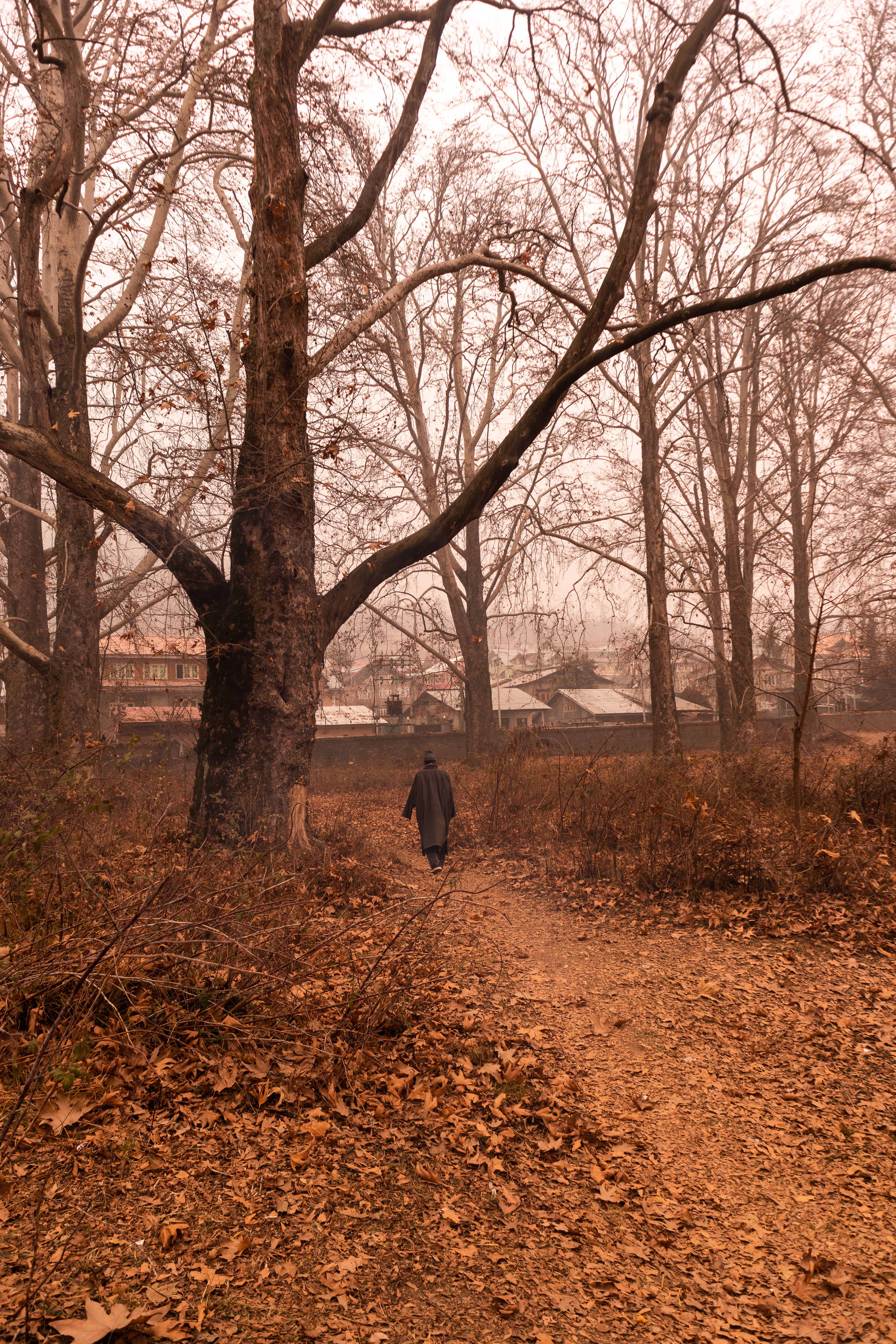 A solitary figure walks down a foggy autumn path surrounded by bare trees and fallen leaves.