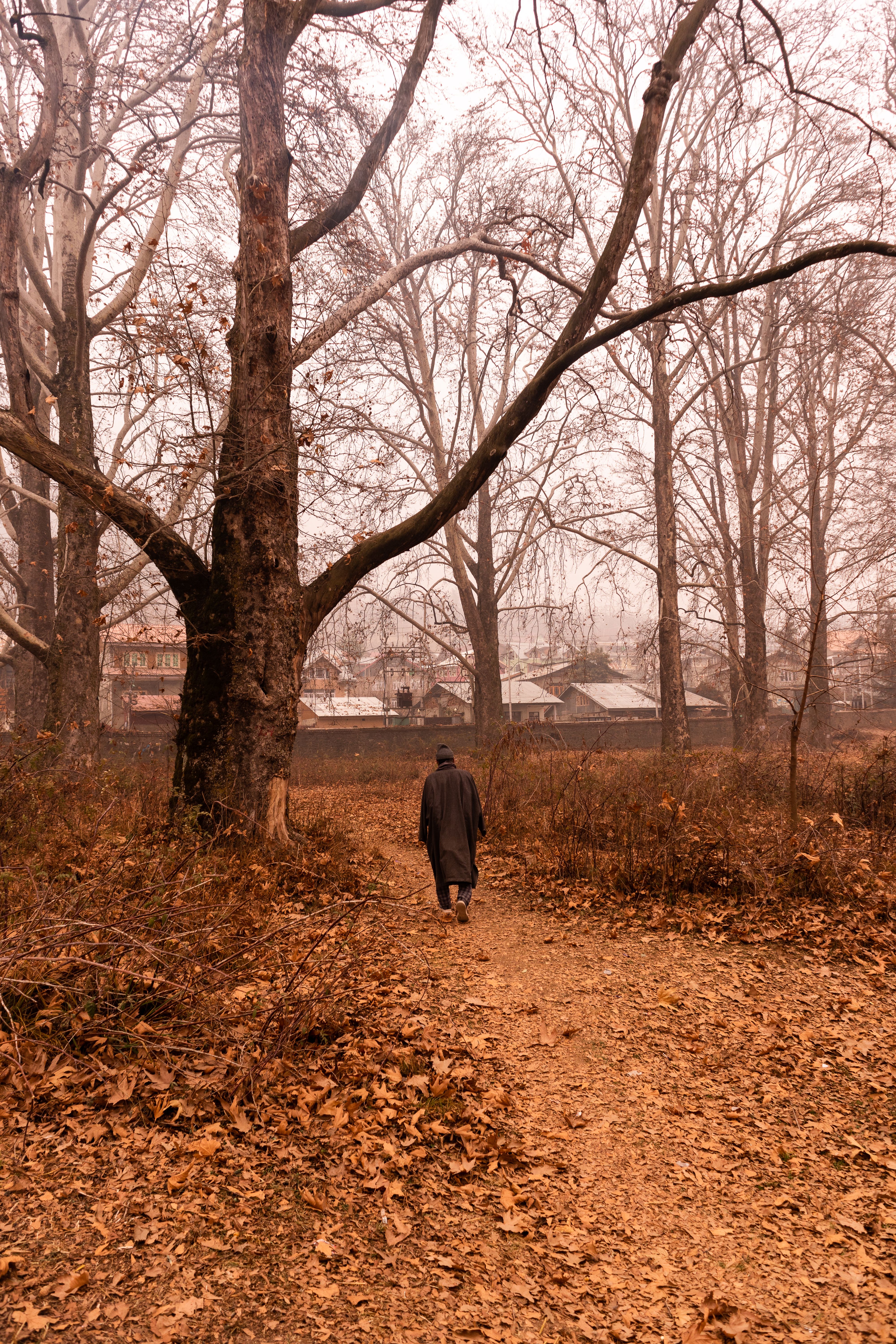A lone figure walking through a forest with bare trees during fall.