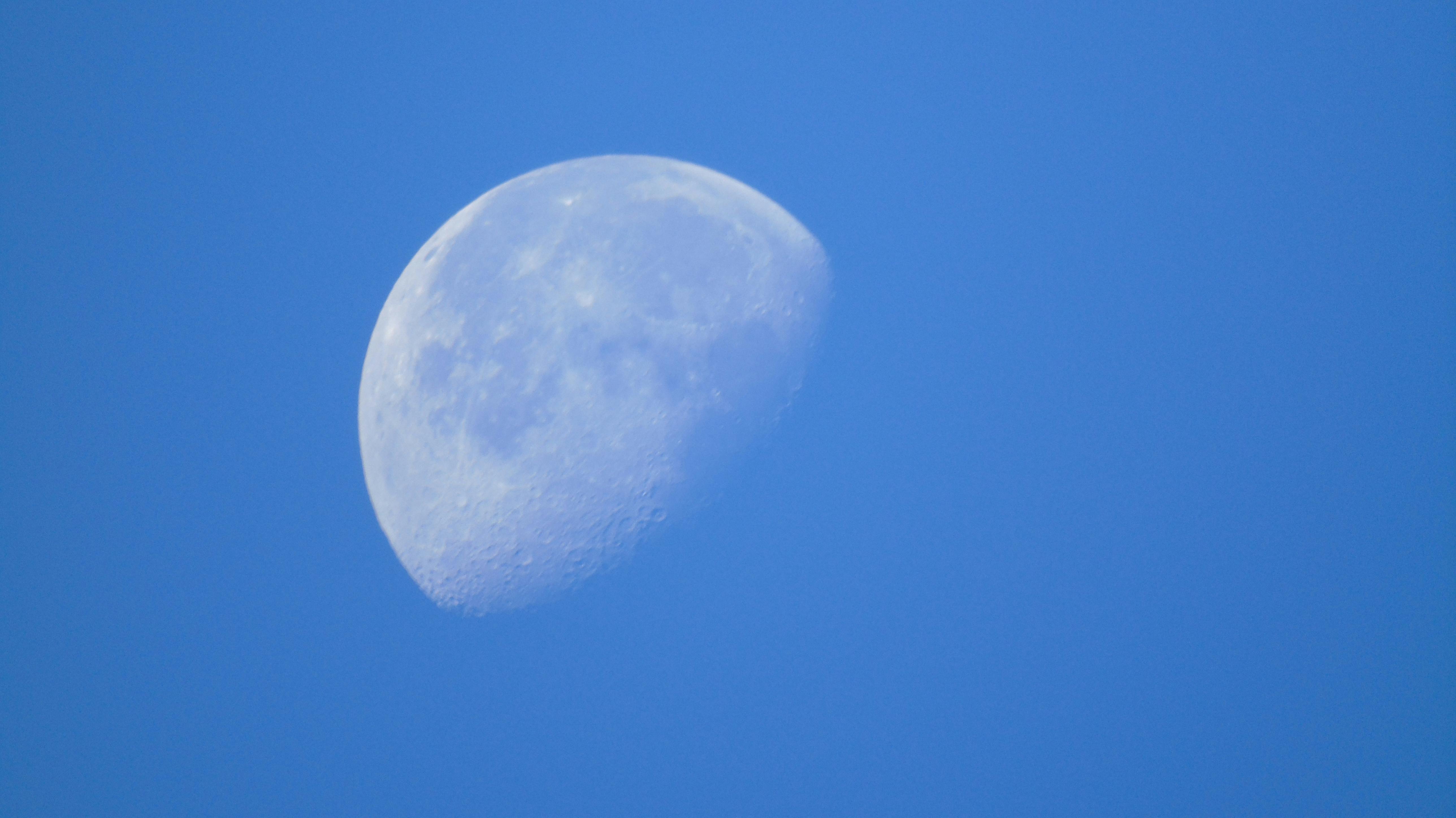 Free stock photo of moon, white, white moon