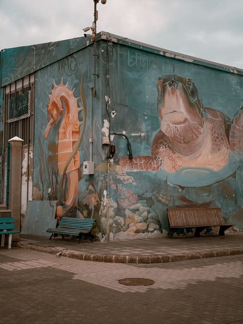 Free Colorful street art mural with seahorse and turtle in Canary Islands village. Stock Photo