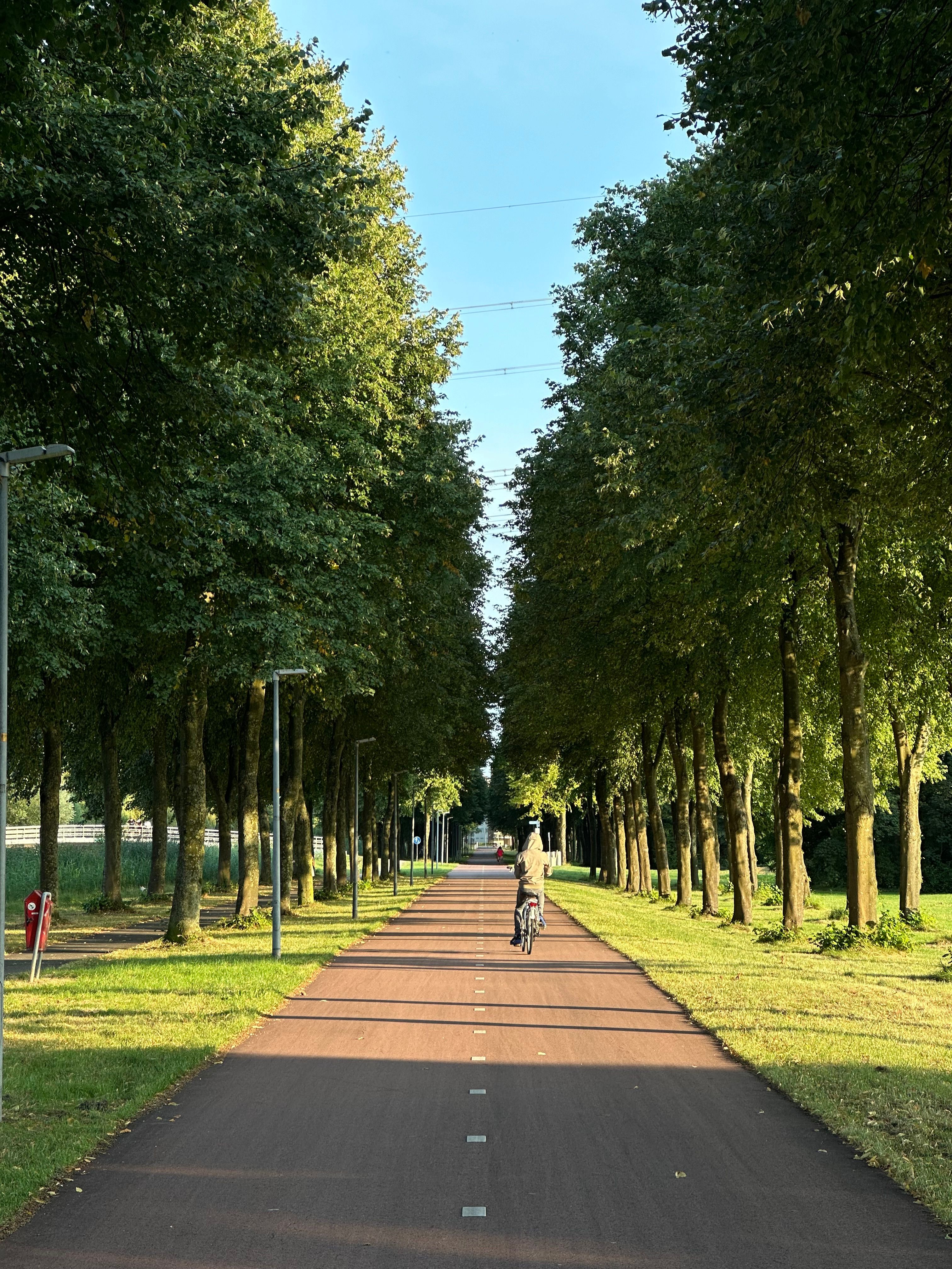 The Commons Park