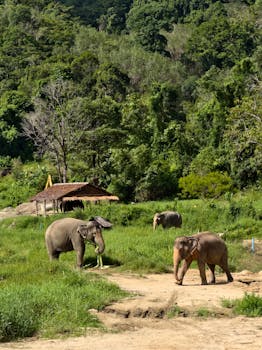 산림복지바우처로 경제를 살리다 산림복지바우처로 경제를 살리다