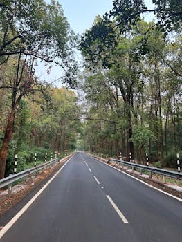 A serene road through lush greenery in Rishikesh, India, perfect for travel and nature lovers.