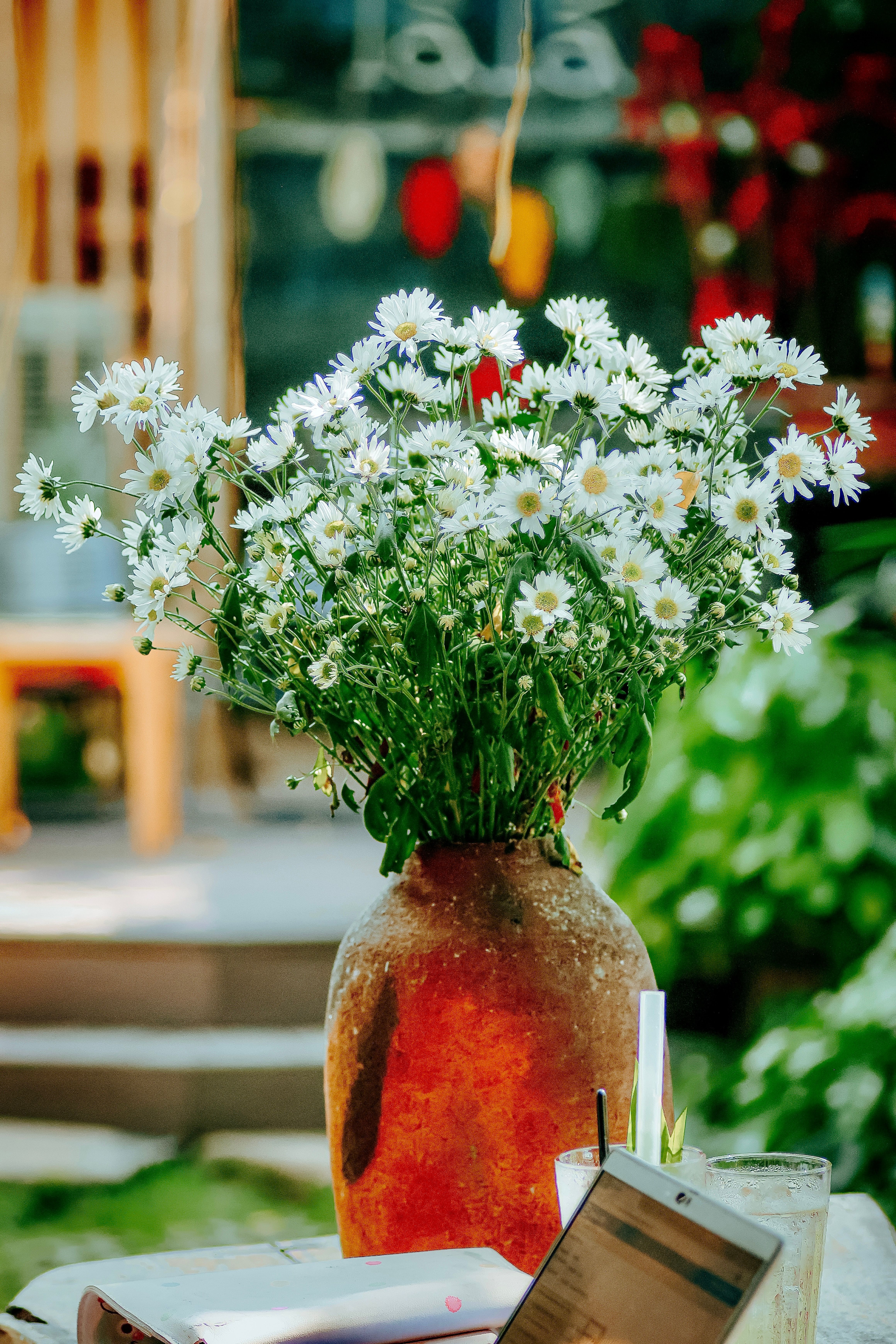 Rustic Vase with White Daisies Outdoors · Free Stock Photo