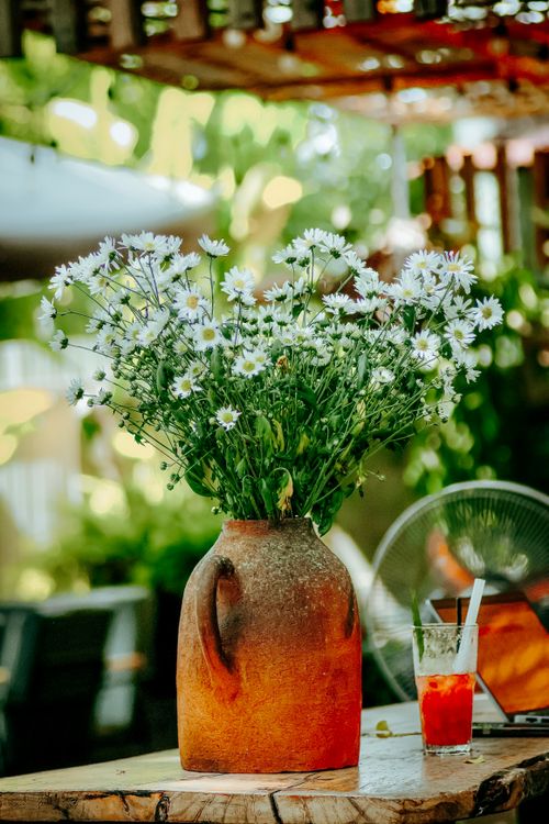 Free Charming rustic vase with fresh white daisies on a wooden table in a sunny garden. Stock Photo