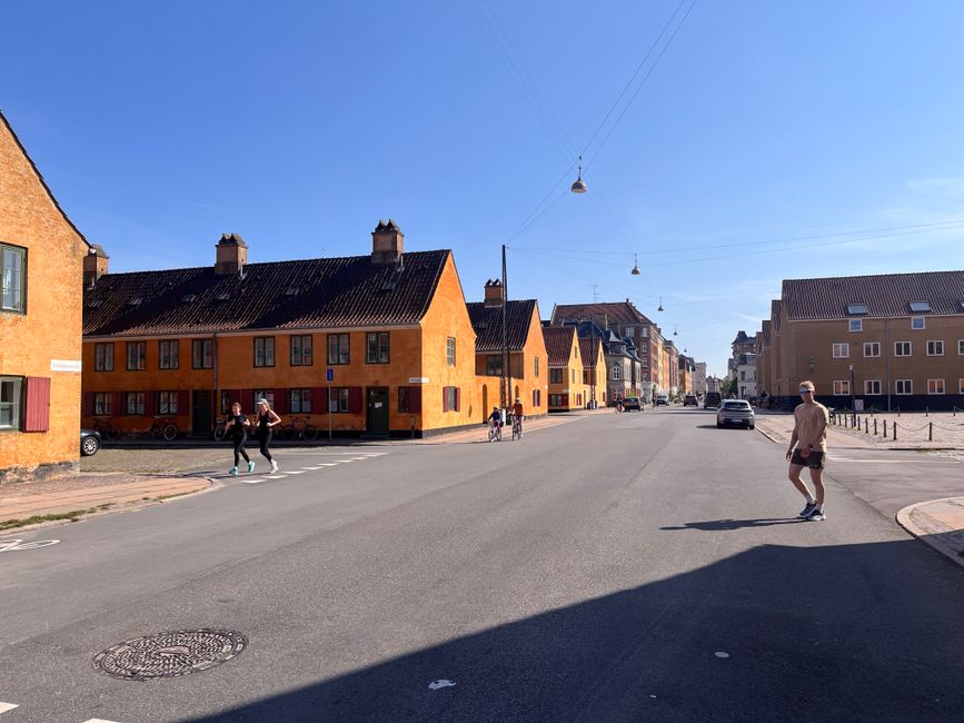 A pair of comfortable, waterproof walking shoes on a cobblestone street in Copenhagen