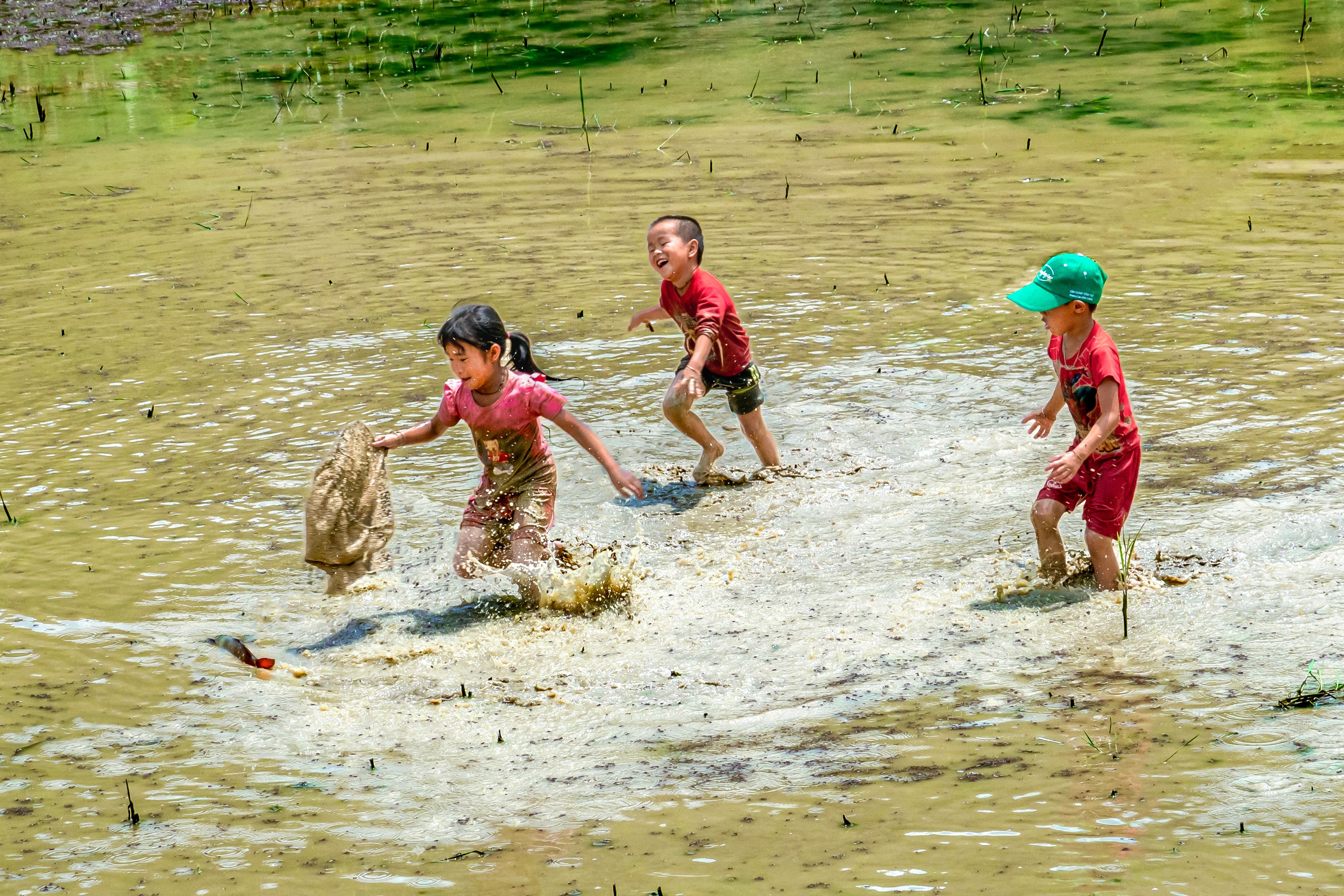 kids colorful rice play