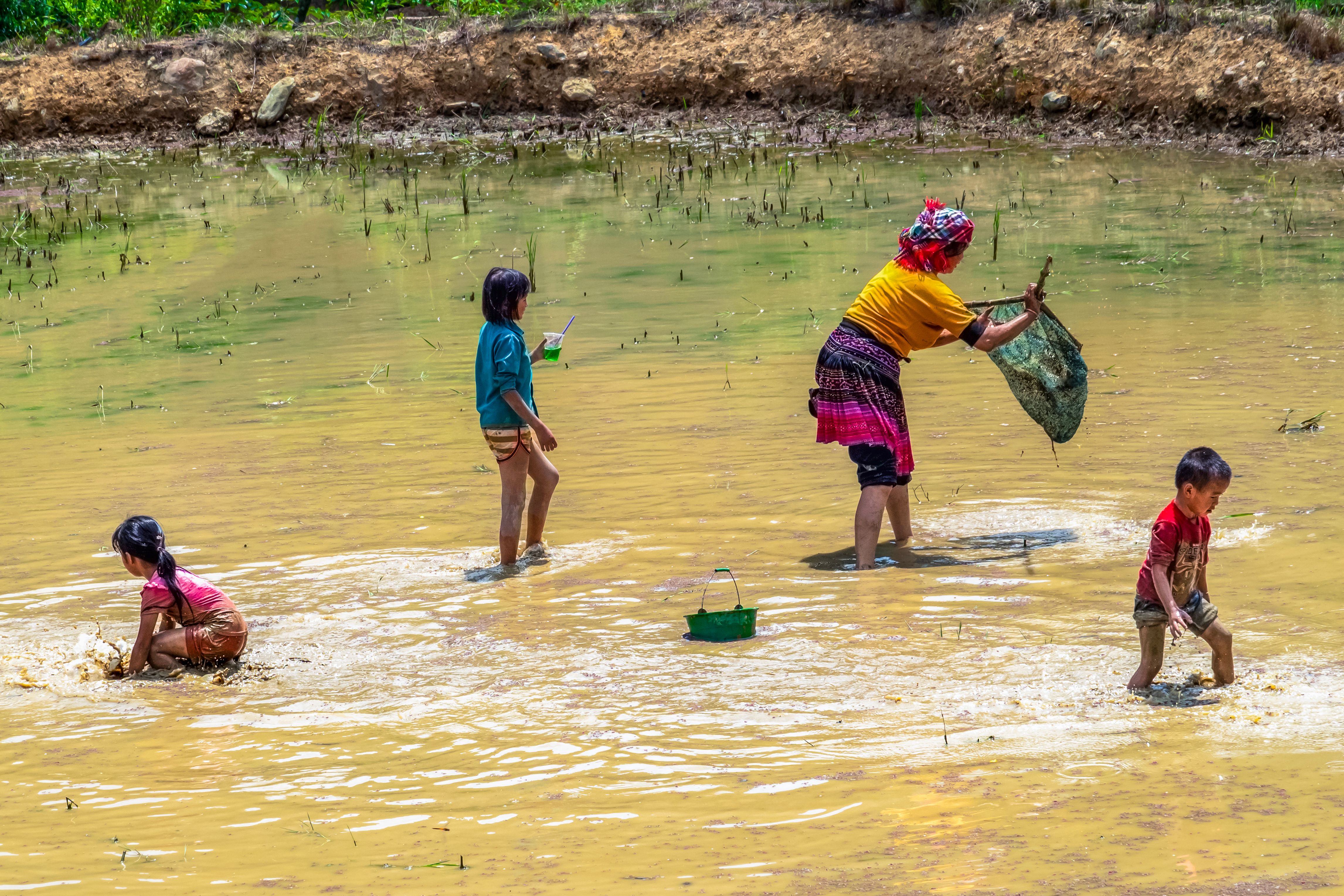 Mengagau Ikan