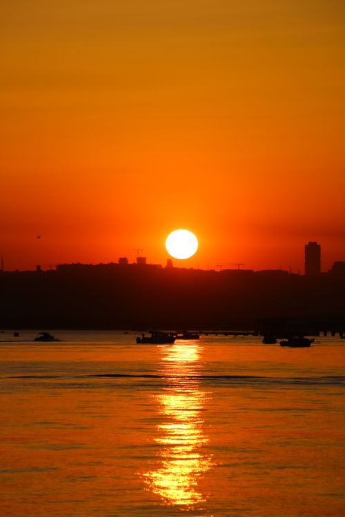 夕日写真 5,584+以上の無料夕日画像