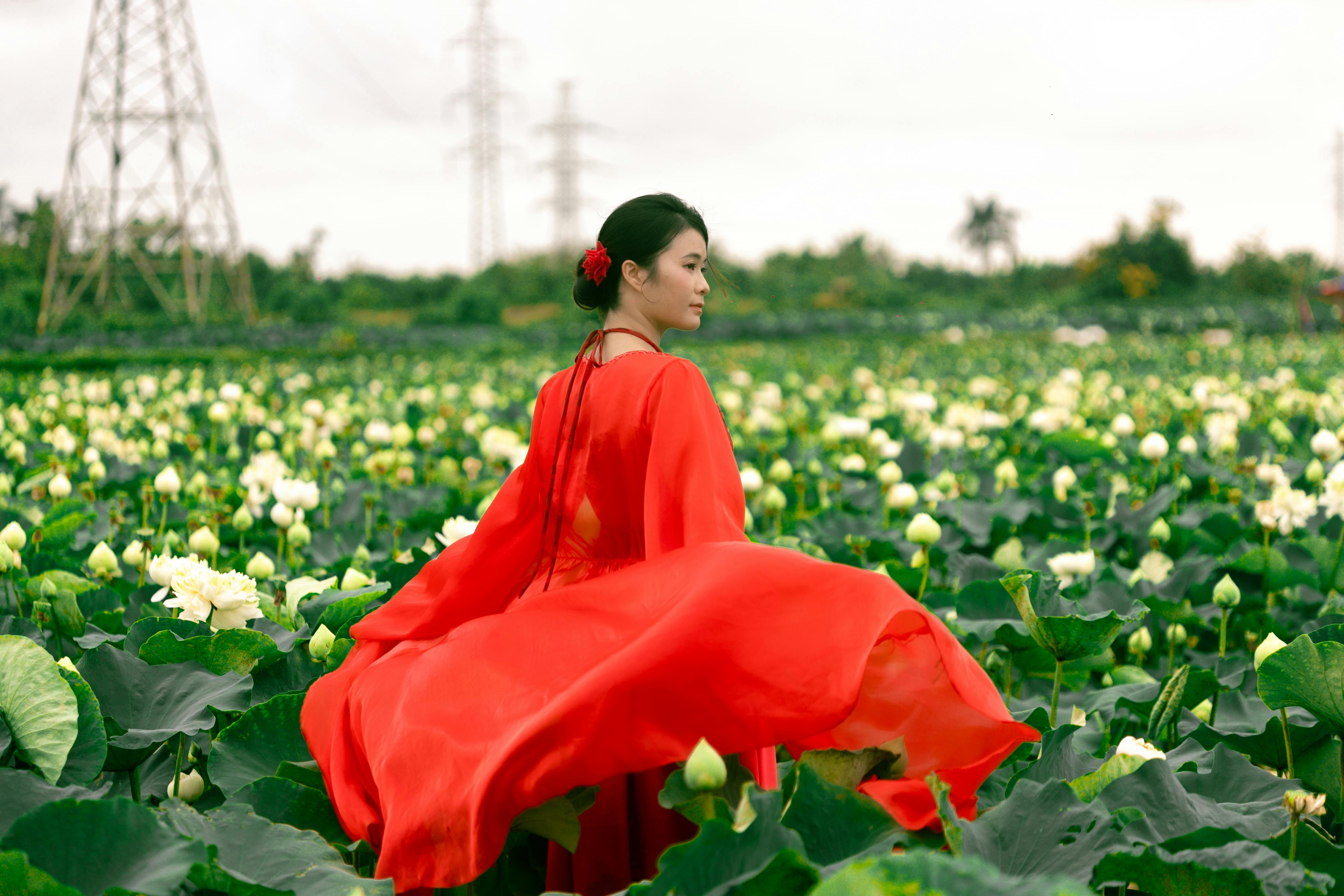 A woman in a flowing red dress gracefully moves through a lush lotus field in Hải Phòng, Việt Nam.