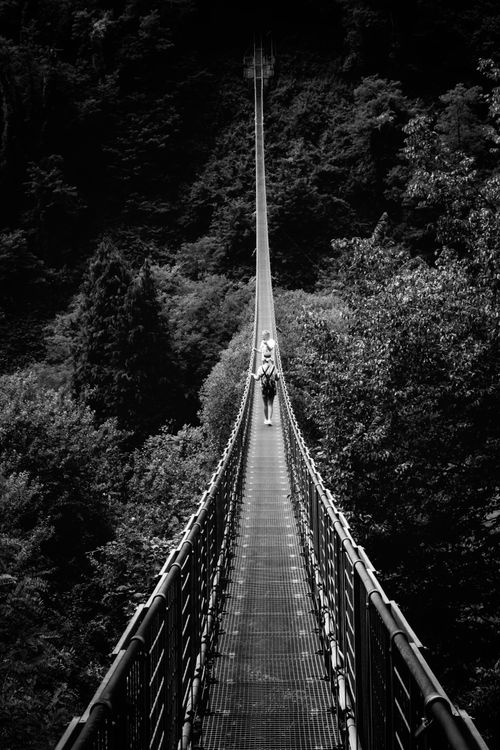 Free Black and white photo of a long suspension bridge with a lone figure walking, surrounded by dense forest. Stock Photo