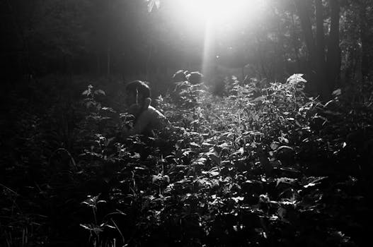 在阳光普照、雾气蒙蒙的森林中，茂密的树叶间映出一个男人的轮廓