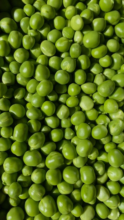 Free Close-up of vibrant green peas, ideal for fresh produce visuals. Stock Photo