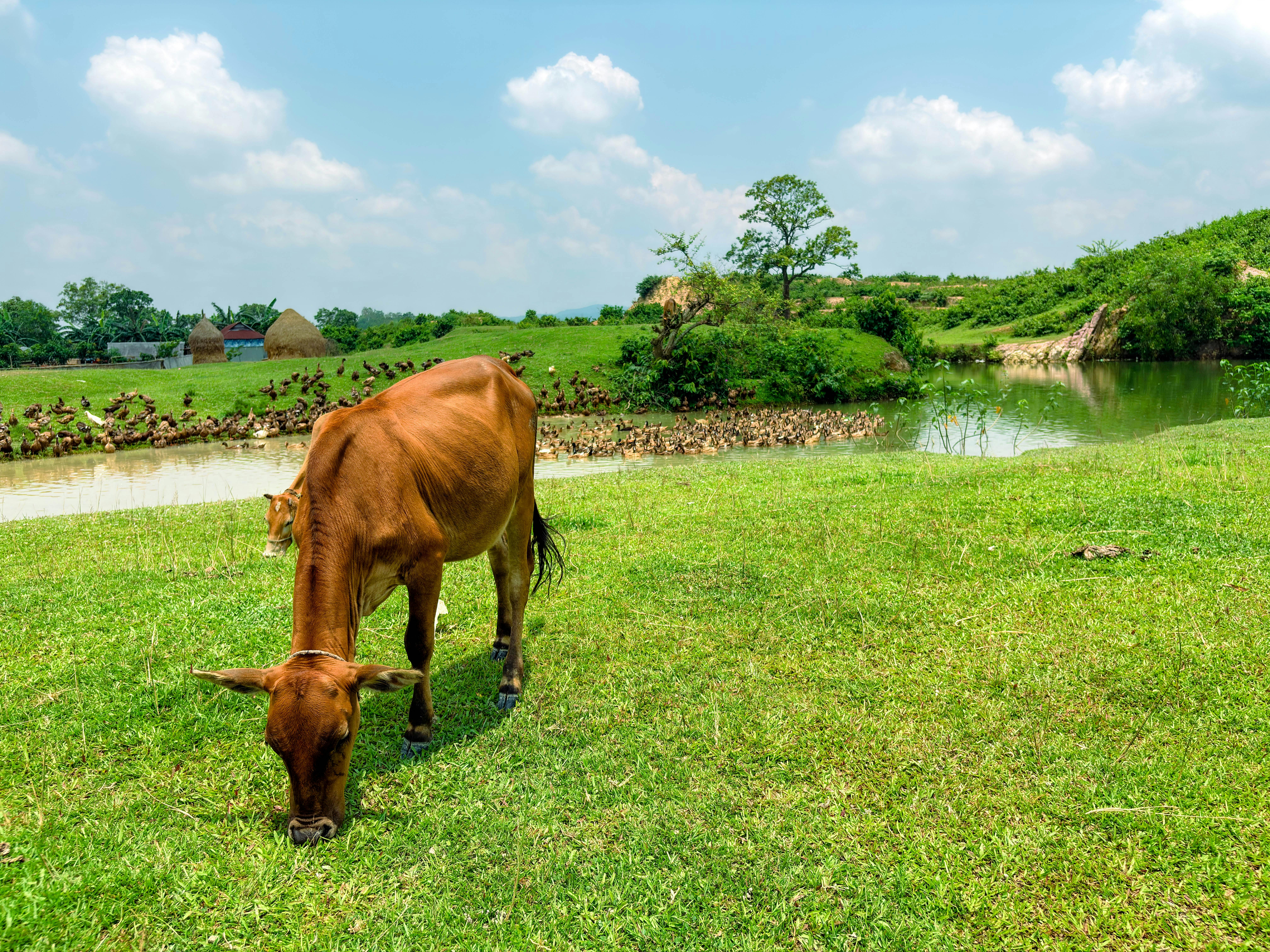 Bangladesh and UNESCO Strengthen Cooperation on Climate Resilience, Education and Biodiversity — Photo by Shamim Hossain on P