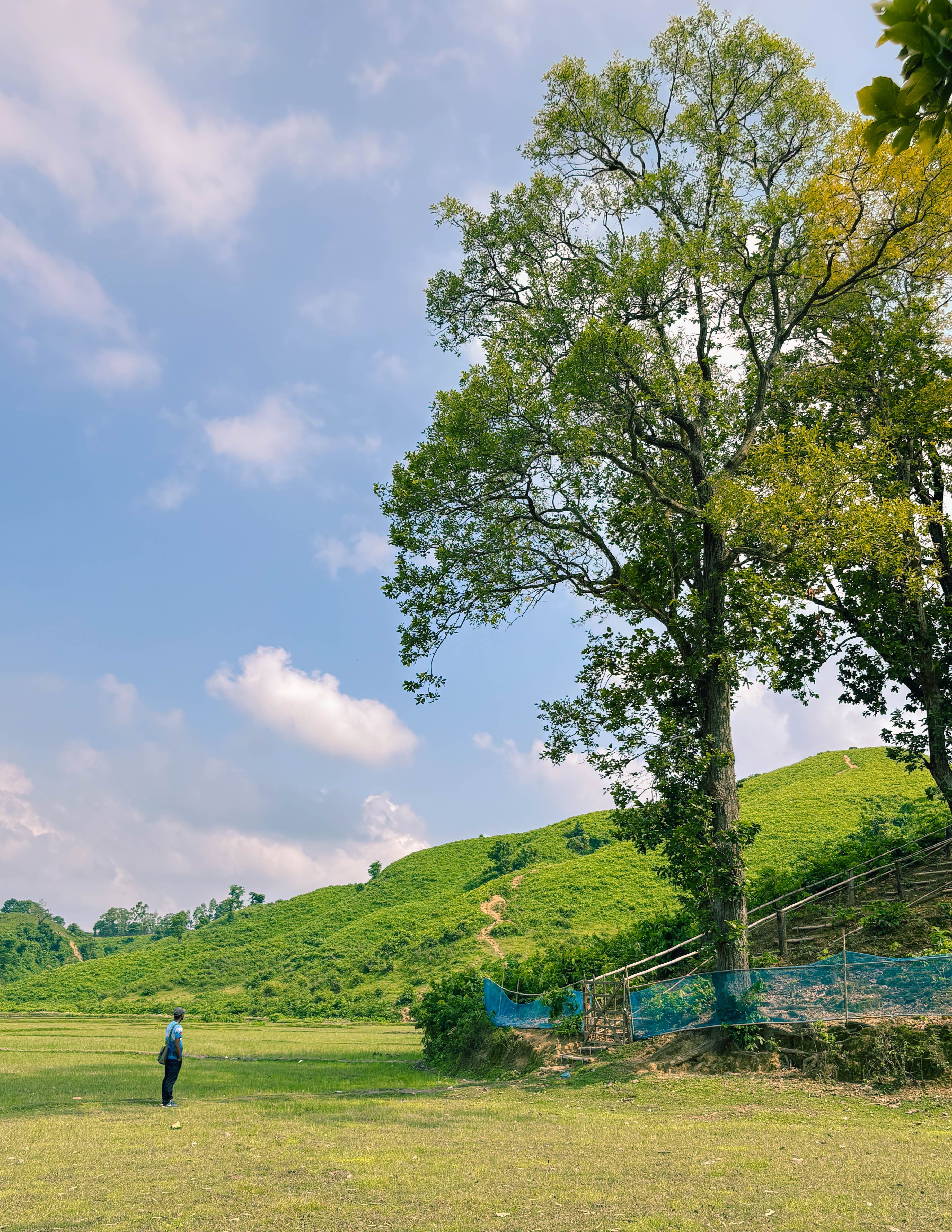 Serene Landscape in Netrokona, Bangladesh · Free Stock Photo