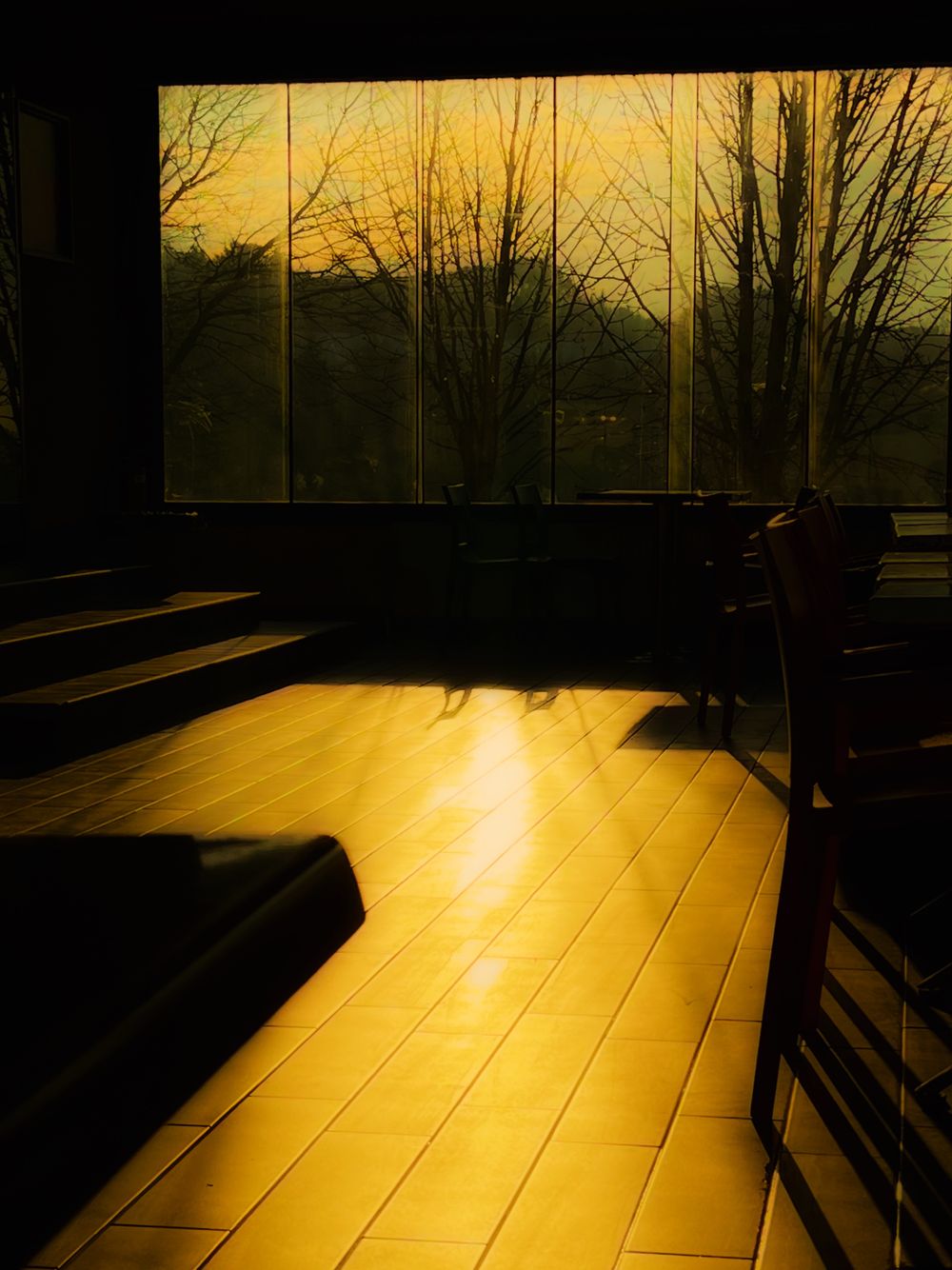 Low evening light falling through floor-to-ceiling panes onto a wooden floor