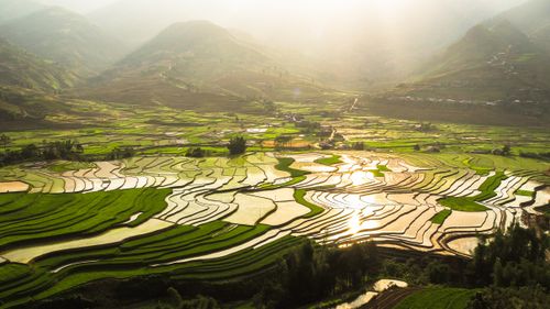 Free A breathtaking aerial view of vibrant rice terraces at sunrise, showcasing lush fields and mountainous backdrop. Stock Photo
