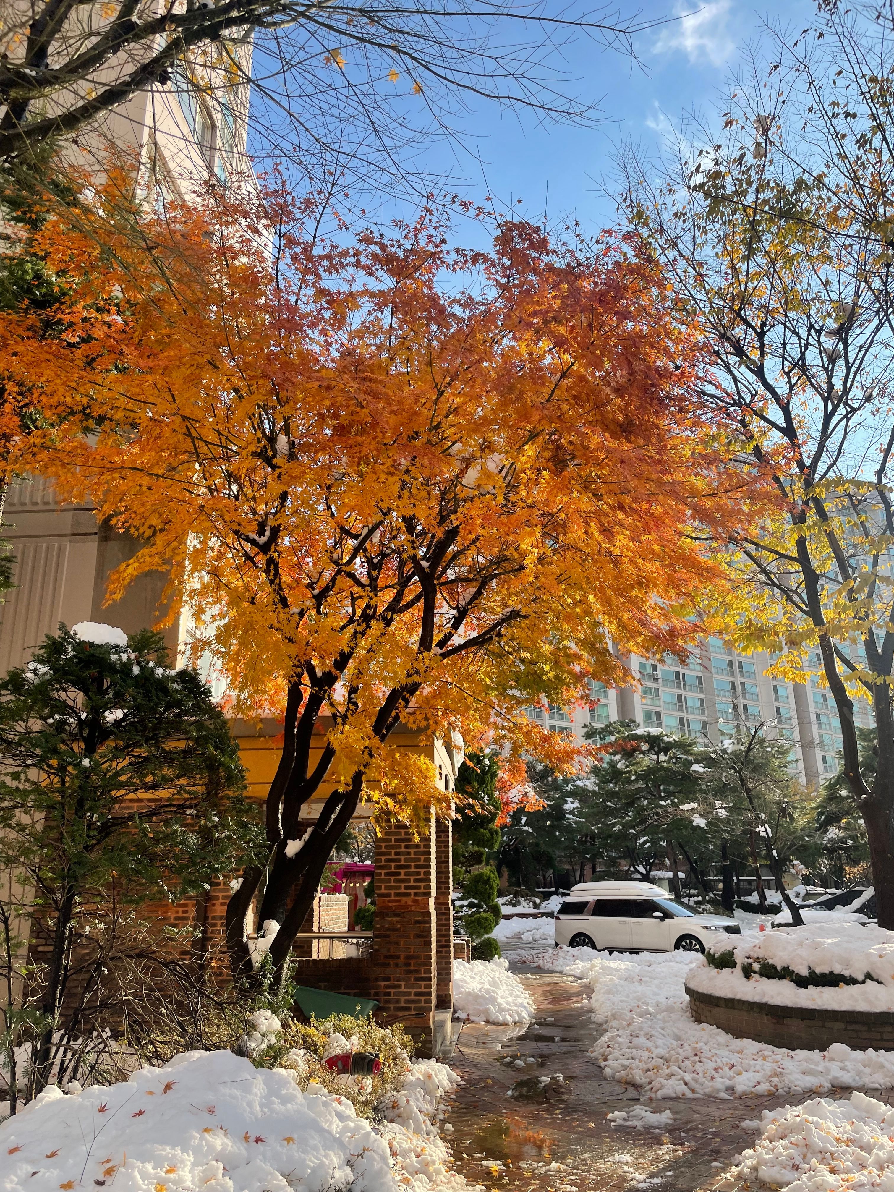 결론부터, 결별설은 '사실무근'이다