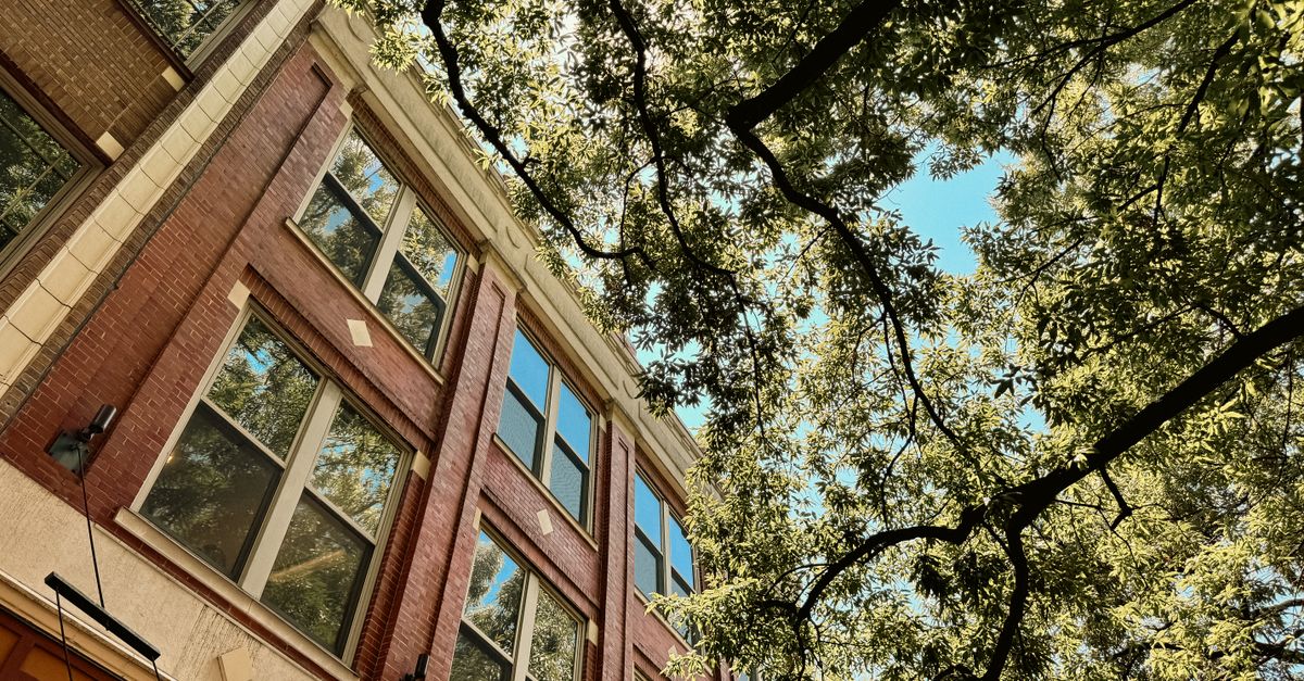 A beautiful city street view in Knoxville, TN, featuring a brick facade and leafy tree canopy.
