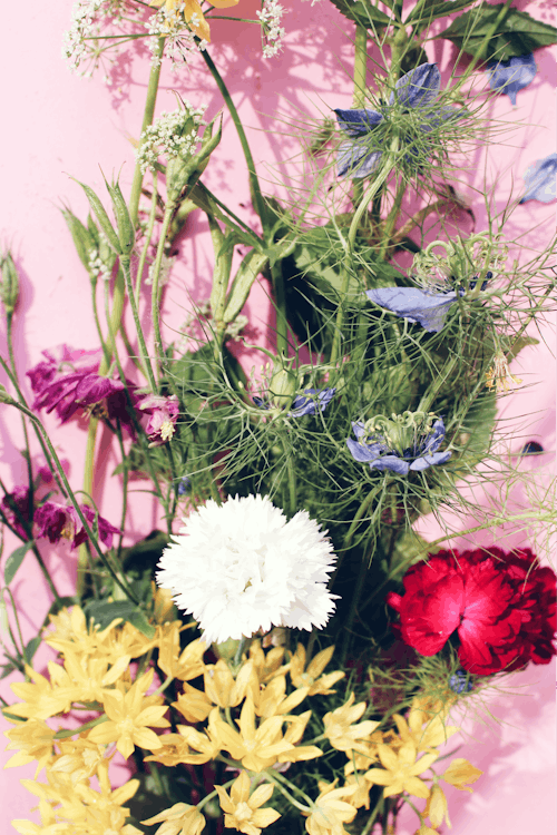 Free stock photo of colorful, flower arrangement, flowers