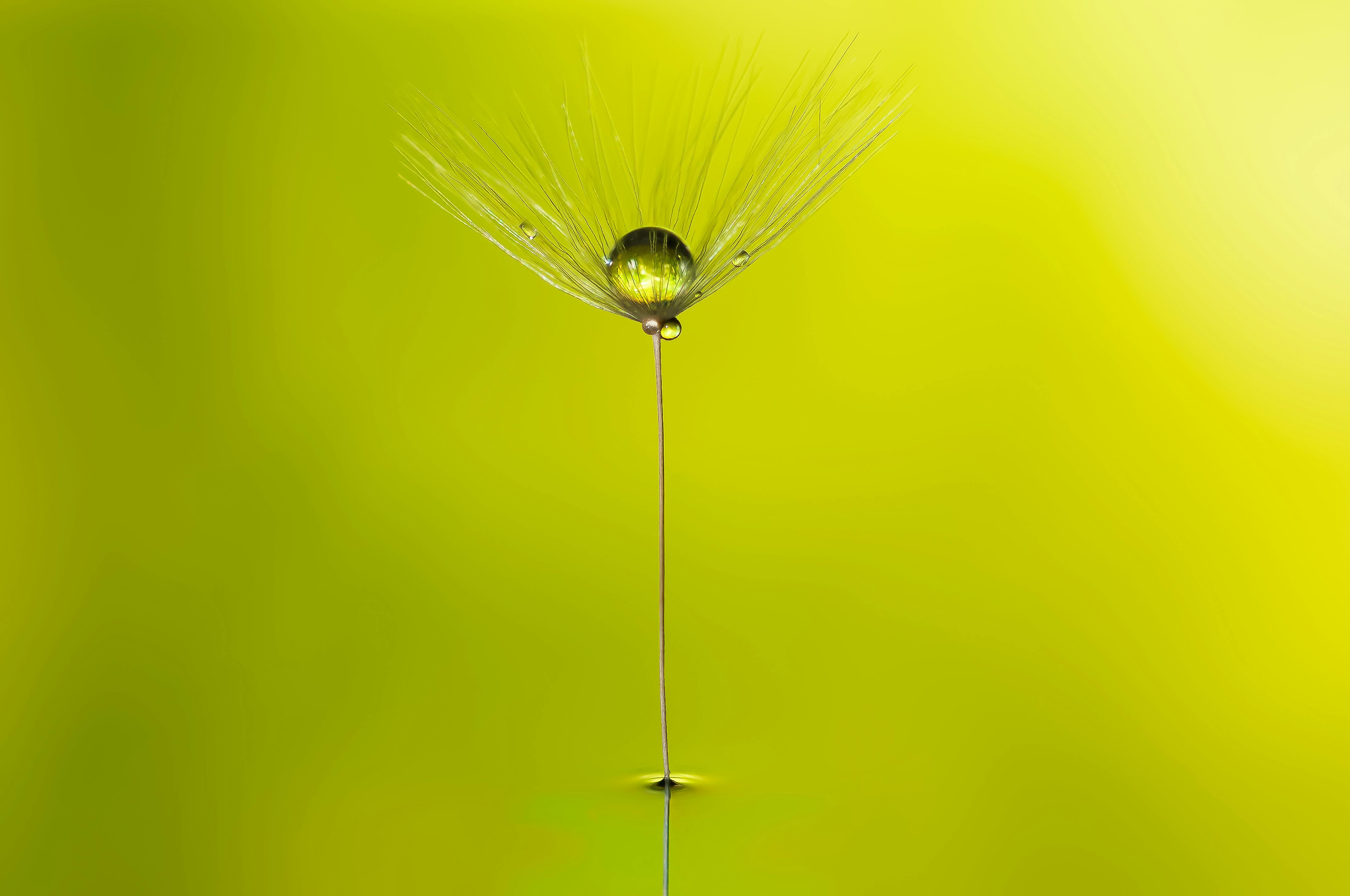 Image related to the topic