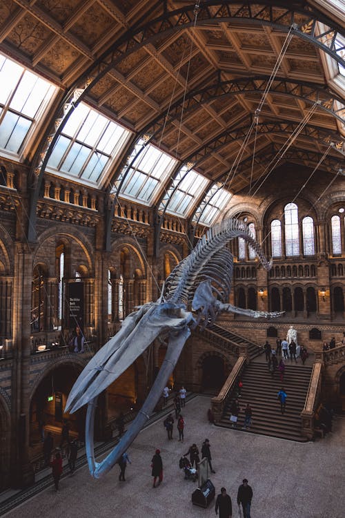 Qué ver en Londres