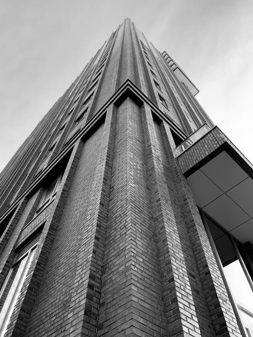 무료 고층 빌딩의 회색조 사진 스톡 사진