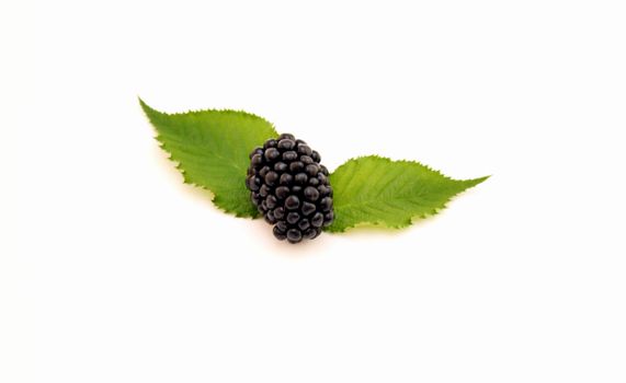 Closeup of fresh juicy blackberry with green leaves, isolated on white.