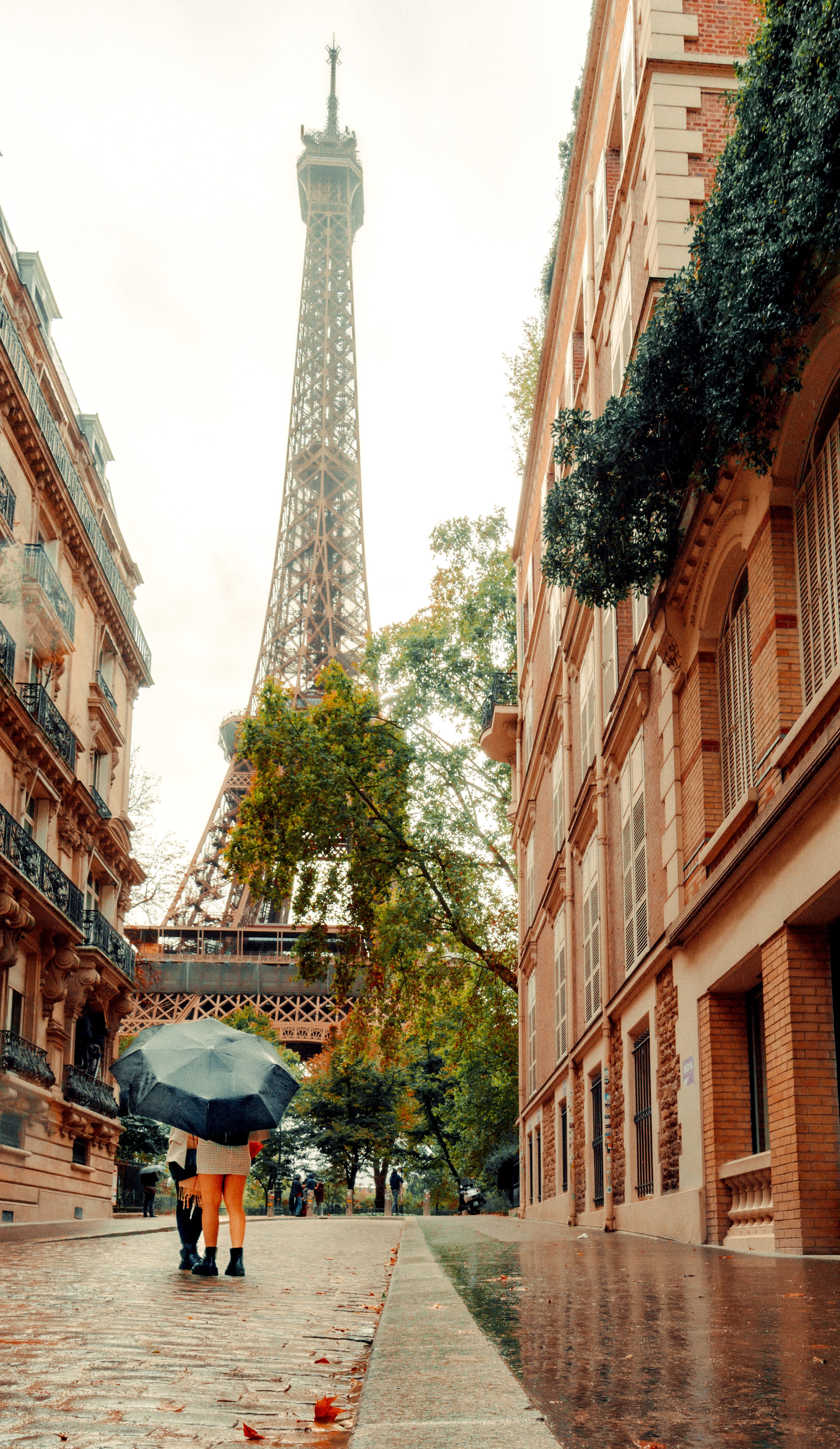 Romantic Background Buildings Photos, Download The BEST Free Romantic ...