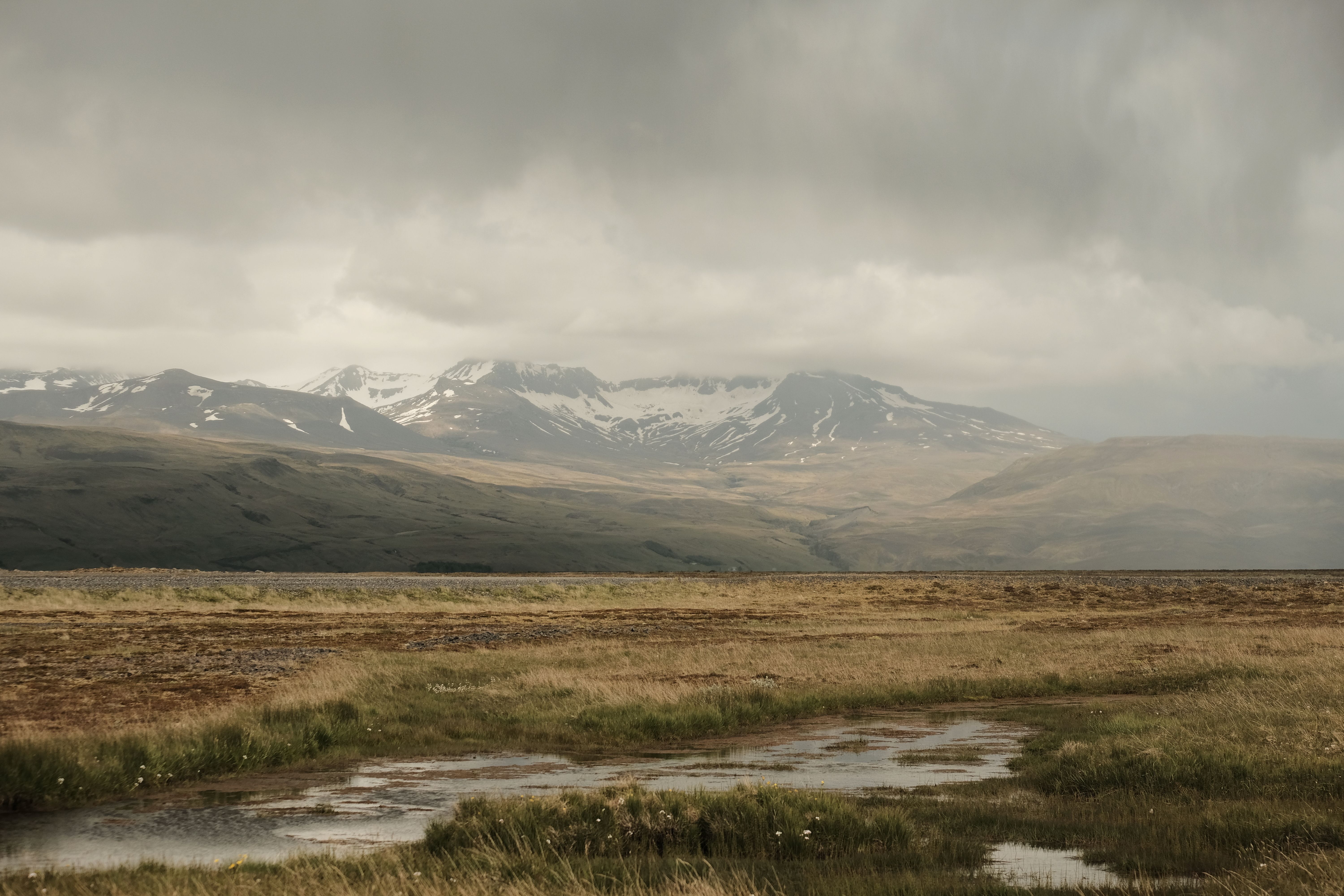 Texturas naturales de la tundra
