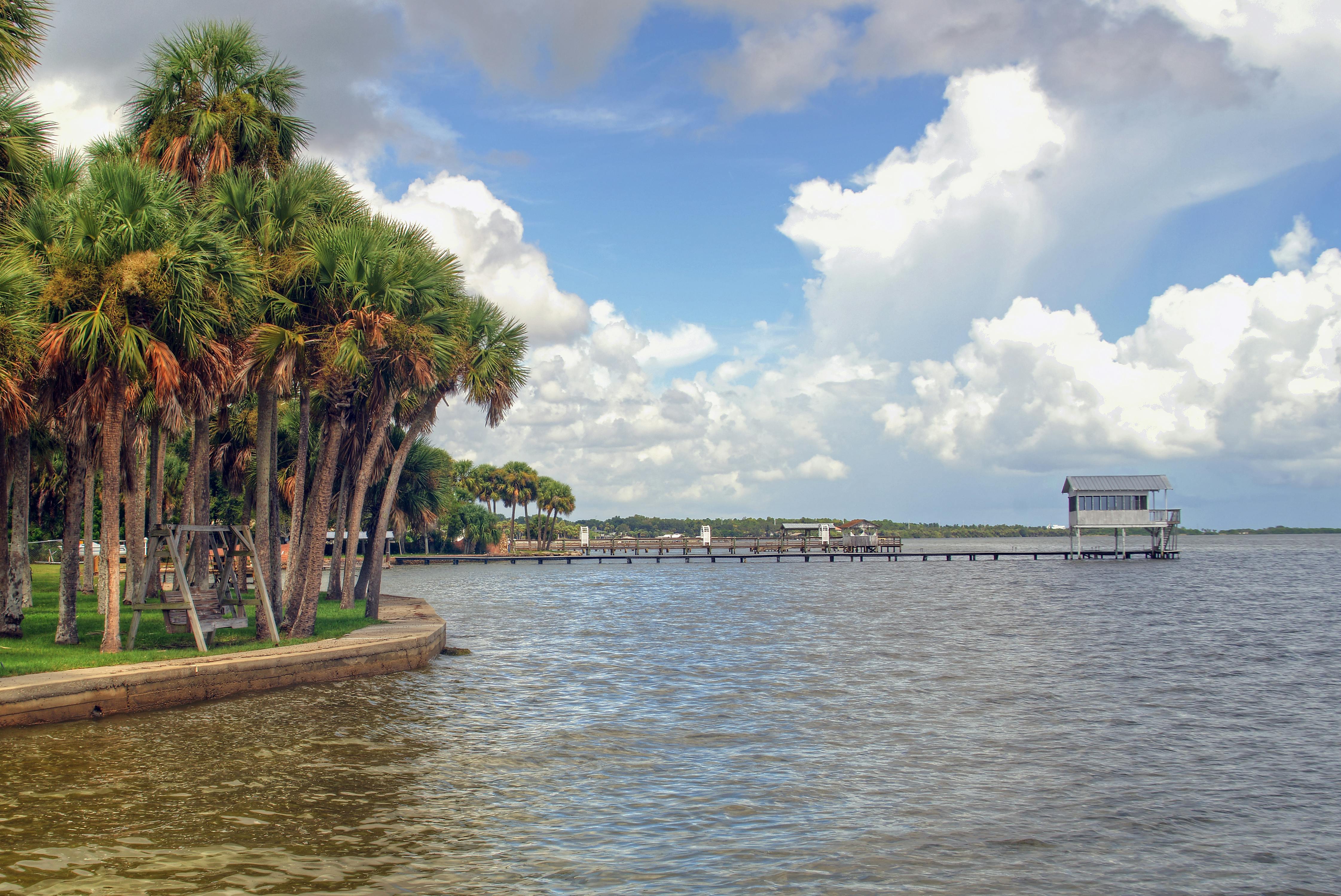 A tranquil view of a palm-lined lagoon in Florida with a dock extending into the water under a cloudy sky.