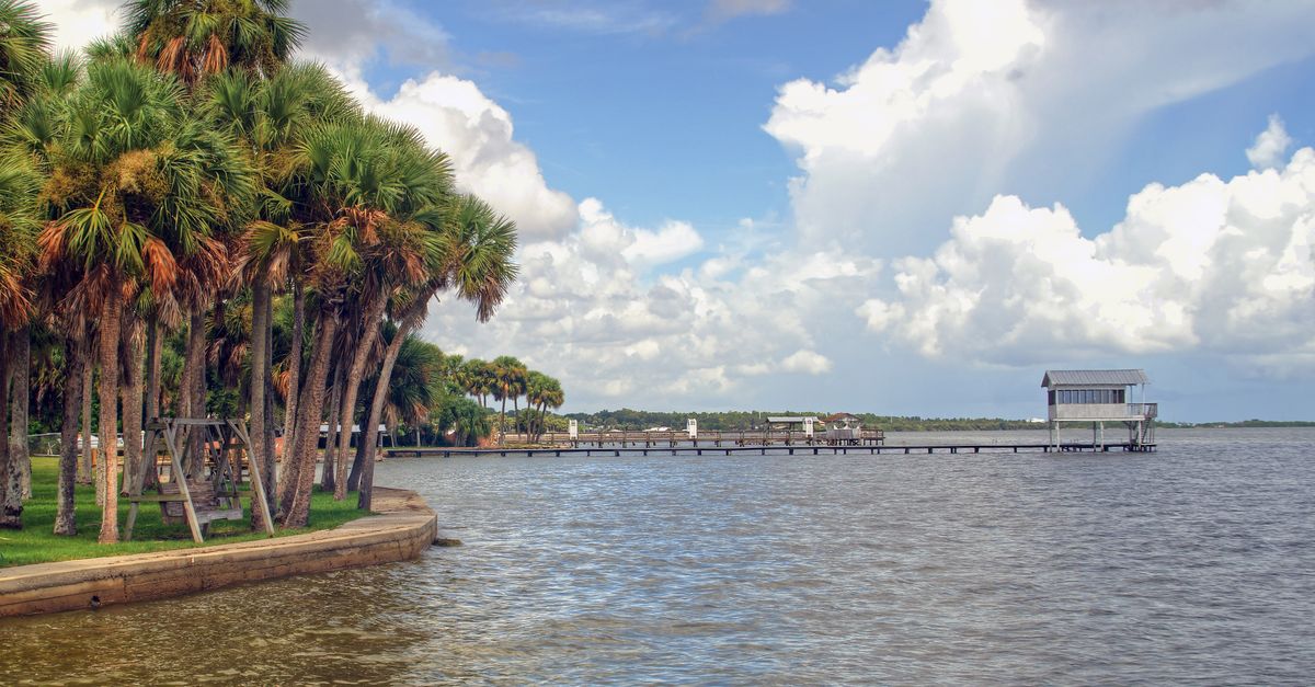 A tranquil view of a palm-lined lagoon in Florida with a dock extending into the water under a cloudy sky.