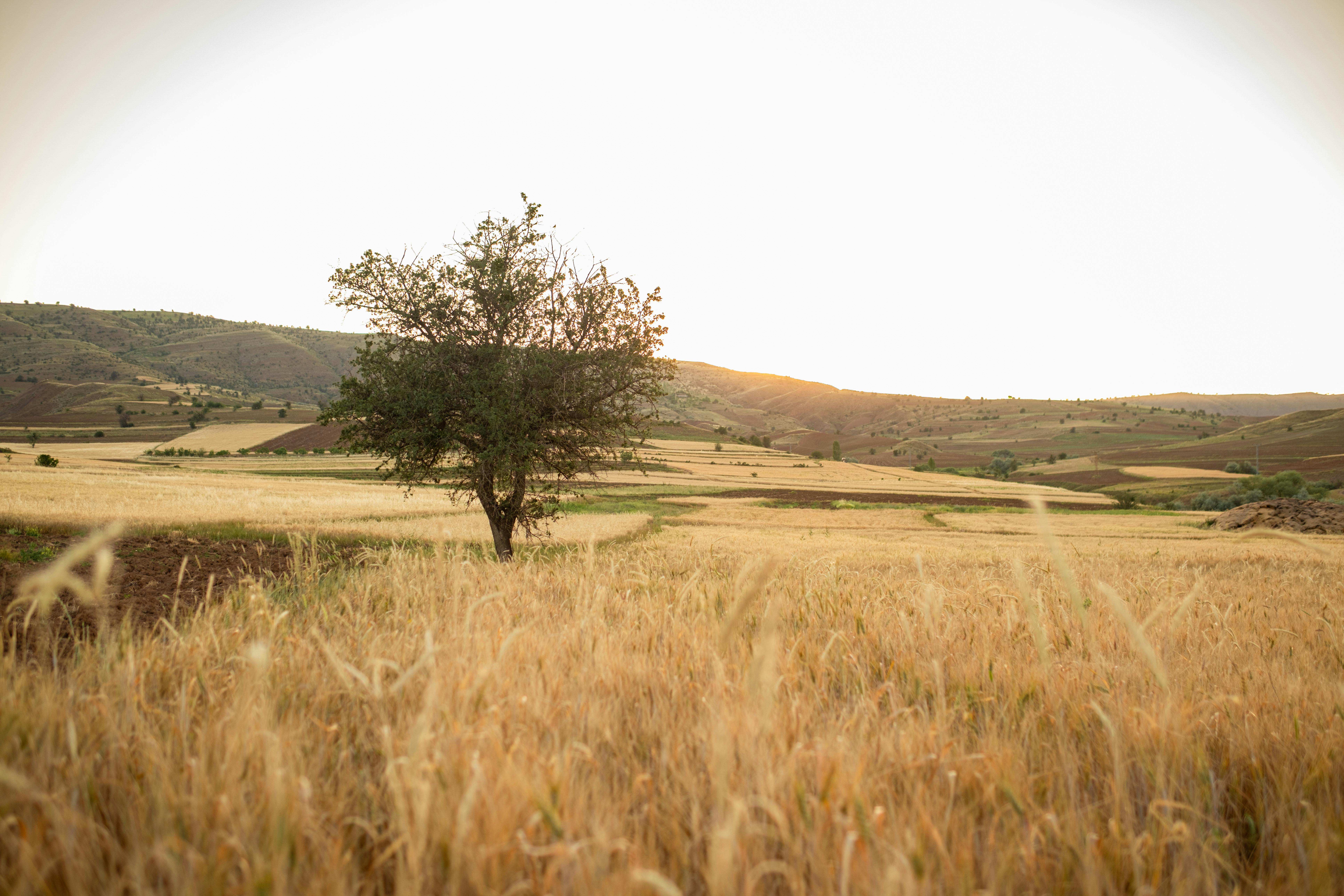 Morocco Pushes Financial Inclusion to Strengthen Rural