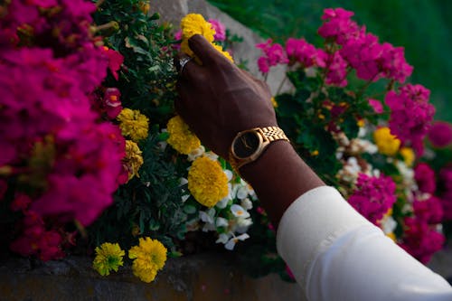 Person Wearing Round Gold-colored Analog Watch