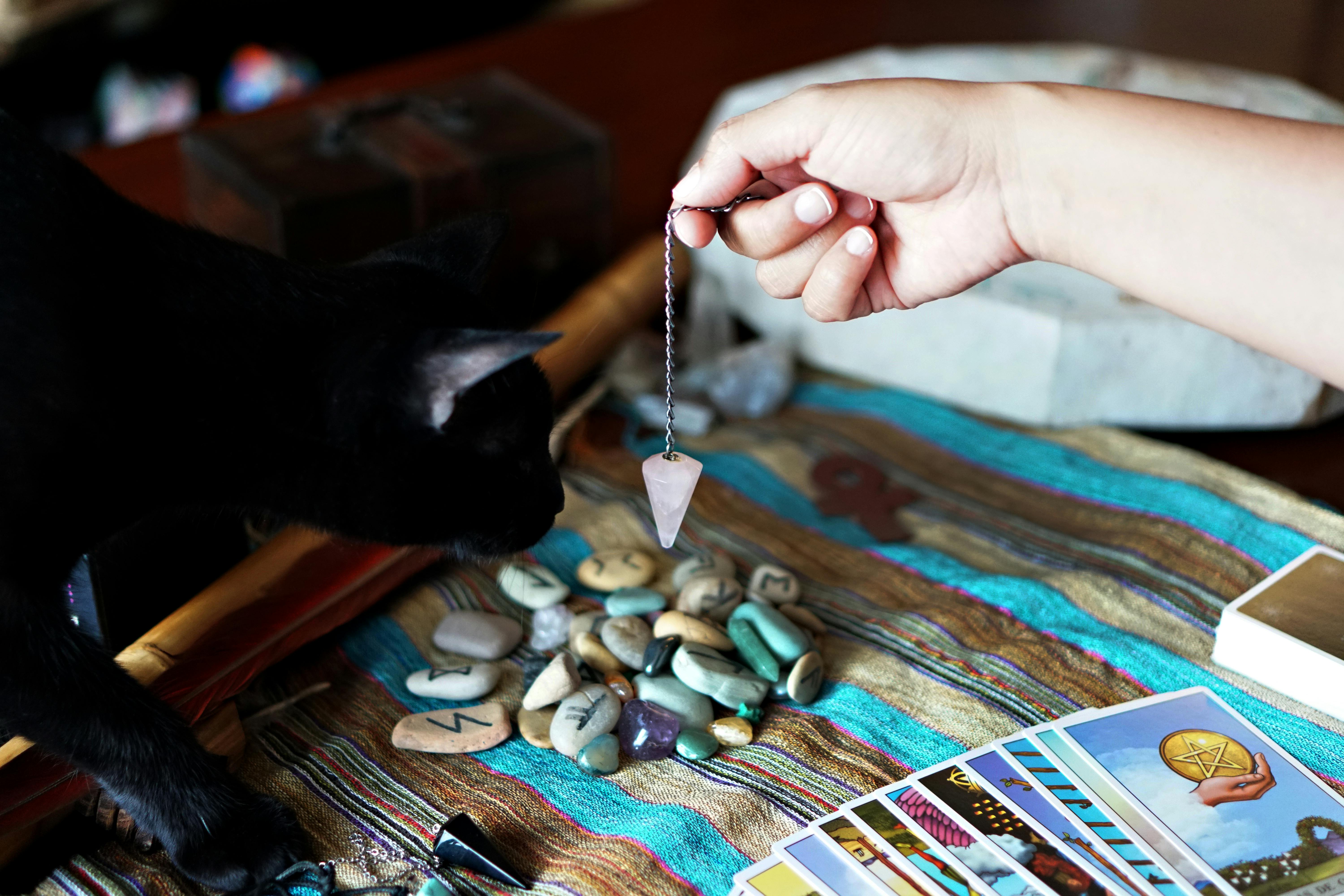 Surprising Ways Pets Can Read Minds